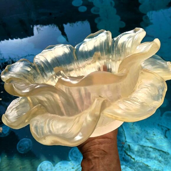 Vintage MCM Dorothy Thorpe Translucent Frosted Lucite Flower Bowl - Picture 8 of 10